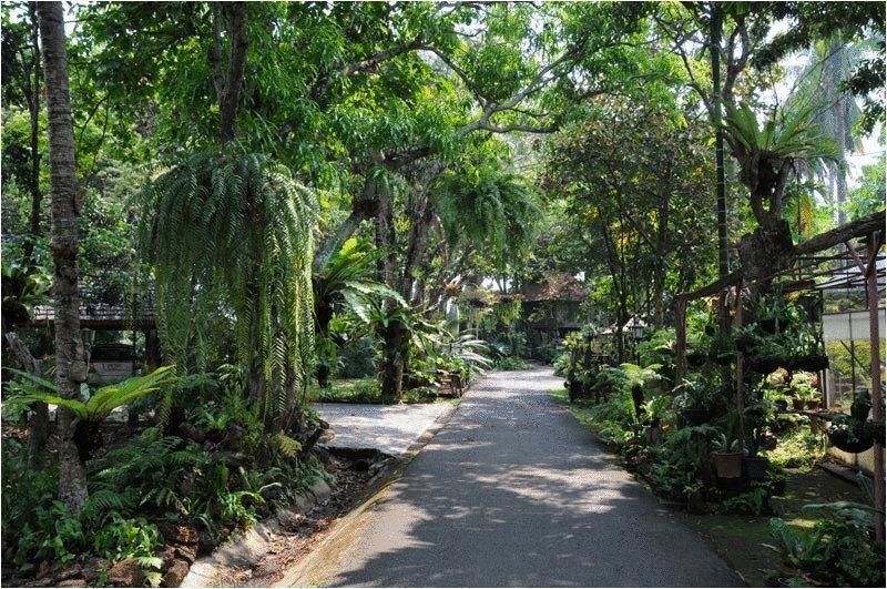Fern Paradise Chiang Mai Exterior photo